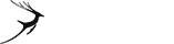 威力超强持久的云呼官方